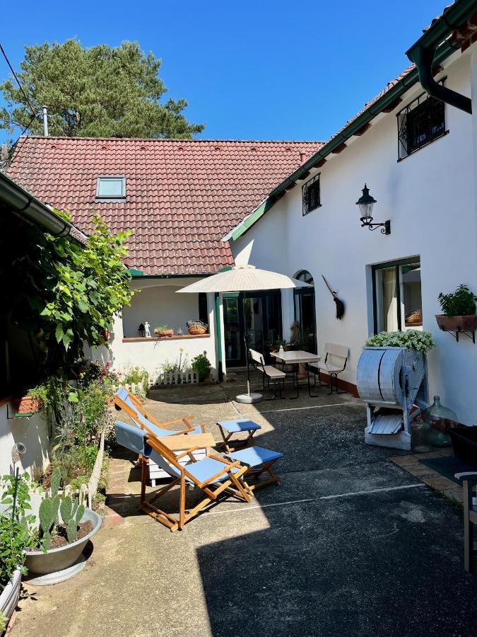 Apartmán Derhofrat Litzelsdorf Exteriér fotografie